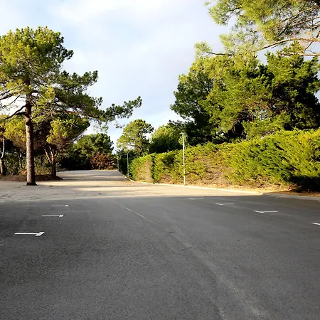 Vent D'eden Park Hotel