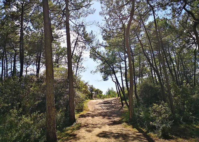 Отель Vent D'eden Park 3*