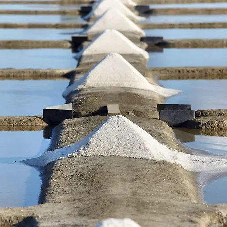 Vent D'eden Park Hotel Saint-Hilaire-de-Riez