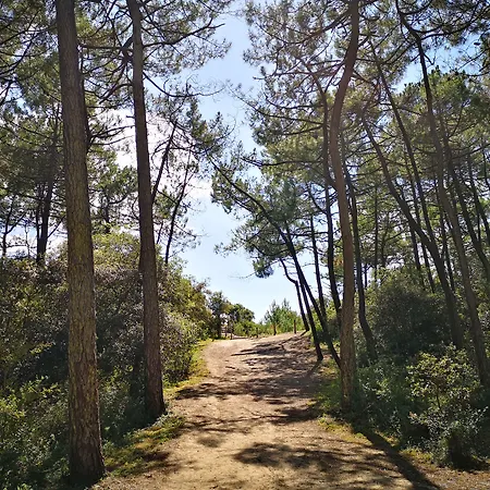 Hotel Vent D'eden Park 3*