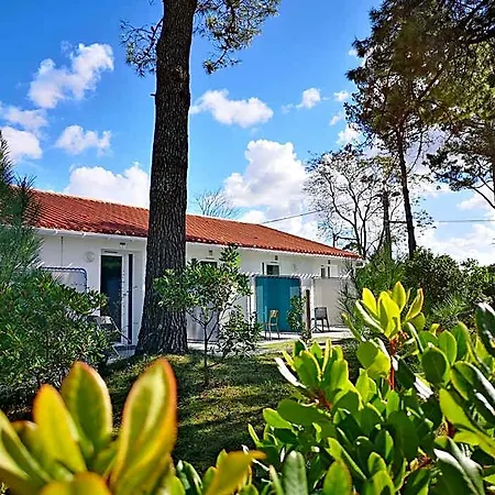 Vent D'eden Park Hotel 3*