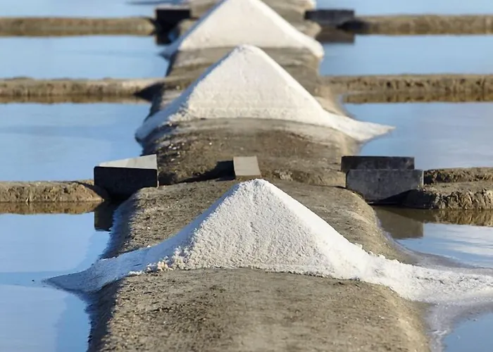 Vent D'eden Park Hotel Saint-Hilaire-de-Riez